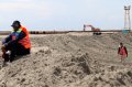 Melihat Proyek Reklamasi Pulau G
