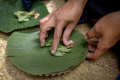 melihat-ritual-adat-suku-kajang-ammatoa_20240909_074959.jpg