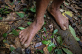 melihat-ritual-adat-suku-kajang-ammatoa_20240909_075352.jpg