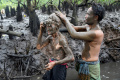 Melihat Tradisi Mandi Lumpur Setelah Nyepi di Bali