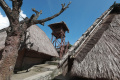 Menengok Desa Wisata Sade di Lombok NTB