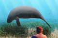 mengenal-sejarah-di-american-museum-of-natural-history_20220801_094614.jpg