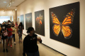 Mengenal Sejarah di American Museum of Natural History
