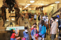 Mengenal Sejarah di American Museum of Natural History
