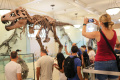 Mengenal Sejarah di American Museum of Natural History