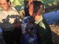 Mentan Amran Sulaiman Panen Raya Padi di Barito Kuala