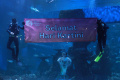 Menyambut Hari Kartini di Jakarta Aquarium dan Safari