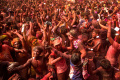 Merasakan Kemeriahan Festival Holi
