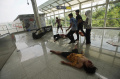Merasakan Sensasi Dikejar Zombie di Stasiun LRT Jakarta