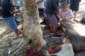 Musholla Nurussaadah Sambut Qurban Idul Adha 1442 H
