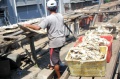 musim-panas-sumber-pendapatan_20180911_181712.jpg