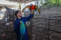 nasib-hewan-di-kebun-binatang-rafah-di-tengah-gempuran-israel_20240525_054214.jpg