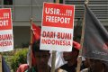 Nasionalisasi Aset Freeport