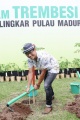 Nugie Hadiri Penanaman Trembesi 