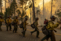 Oak Fire Menghancurkan Ribuan Hektar di Taman Nasional Yosemite