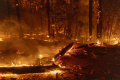 Oak Fire Menghancurkan Ribuan Hektar di Taman Nasional Yosemite