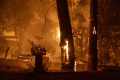 Oak Fire Menghancurkan Ribuan Hektar di Taman Nasional Yosemite