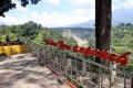 Objek Wisata Ngarai Sianok Bukittinggi