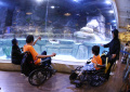 Oops Fugu & Friend Luncurkan Kemasan dan Varian Baru