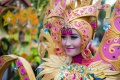 Pakaian Taman Ratu Safiatuddin