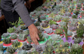 Pameran Flona 2023 di Lapangan Banteng