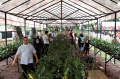 Pameran Flona 2024 di Lapangan Banteng