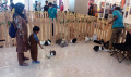 Pameran Hewan Unik di Mal Tangerang City