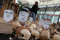 pameran-instalasi-peringatan-26-tahun-reformasi_20240521_165040.jpg