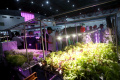 pameran-teknologi-industri-pertanian_20240730_214630.jpg