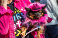 parade-kostum-anjing-halloween-yang-bikin-gemas_20231030_071328.jpg
