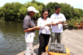 Paving Block Daur Ulang di Taman Mangrove