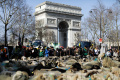 pawai-ribuan-domba-memenuhi-jalanan-paris_20220309_152906.jpg