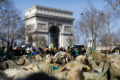 Pawai Ribuan Domba Memenuhi Jalanan Paris