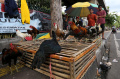 Pedagang Ayam Kampung Musiman Jelang Idul Fitri