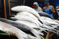 Pedagang Bandeng Imlek Rawa Belong Mulai Diserbu Konsumen
