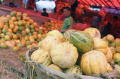 Pedagang Buah Blewah Laris Manis