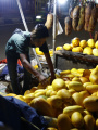 Pedagang Timun Suri Mulai Marak di Bulan Ramadan