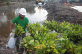 pelabuhan-kcn-marunda-tanam-bibit-mangrove_20220605_130414.jpg