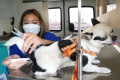 Pelayanan K+ Mobile Vet di Kompleks Batununggal Bandung
