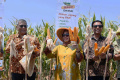 peluncuran-pusat-riset-dan-pengembangan-pertanian_20230815_205720.jpg