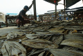 pembuatan-ikan-asin-kembali-normal-usai-libur-lebaran_20240418_202557.jpg