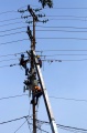 Pemeliharaan Jaringan Listrik PLN di Samarinda