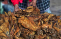 pemerintah-rencana-kenaikan-tarif-cukai-hasil-tembakau_20231227_184803.jpg
