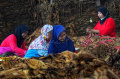pemerintah-rencana-kenaikan-tarif-cukai-hasil-tembakau_20231227_184810.jpg
