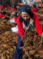 pemerintah-rencana-kenaikan-tarif-cukai-hasil-tembakau_20231227_184825.jpg