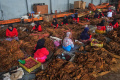 pemerintah-rencana-kenaikan-tarif-cukai-hasil-tembakau_20231227_184834.jpg