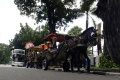 Pemkot DKI Melarang Delman Beroperasi Di Monas