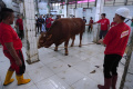 pemotongan-hewan-kurban-di-masjid-raya-bandung_20240618_201908.jpg