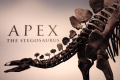 penampakan-fosil-stegosaurus-berusia-150-juta-tahun_20240712_145422.jpg