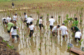 penanaman-1000-mangrove-rei-dki-jakarta_20231126_185846.jpg